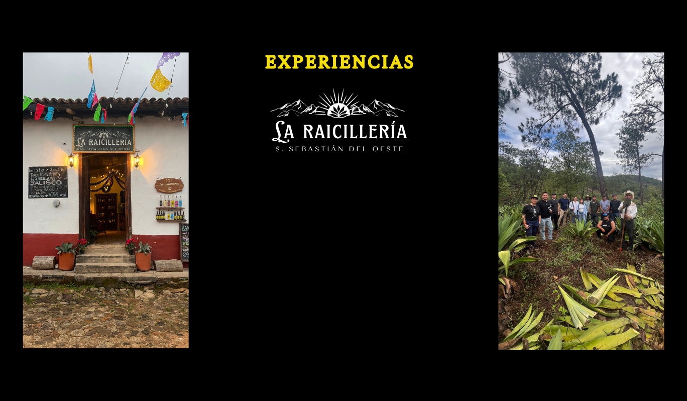 Experiencias de 3 Perros Negros en La Raicillería, San Sebastián del Oeste, Jalisco: cata y recorrido por el mundo de la raicilla